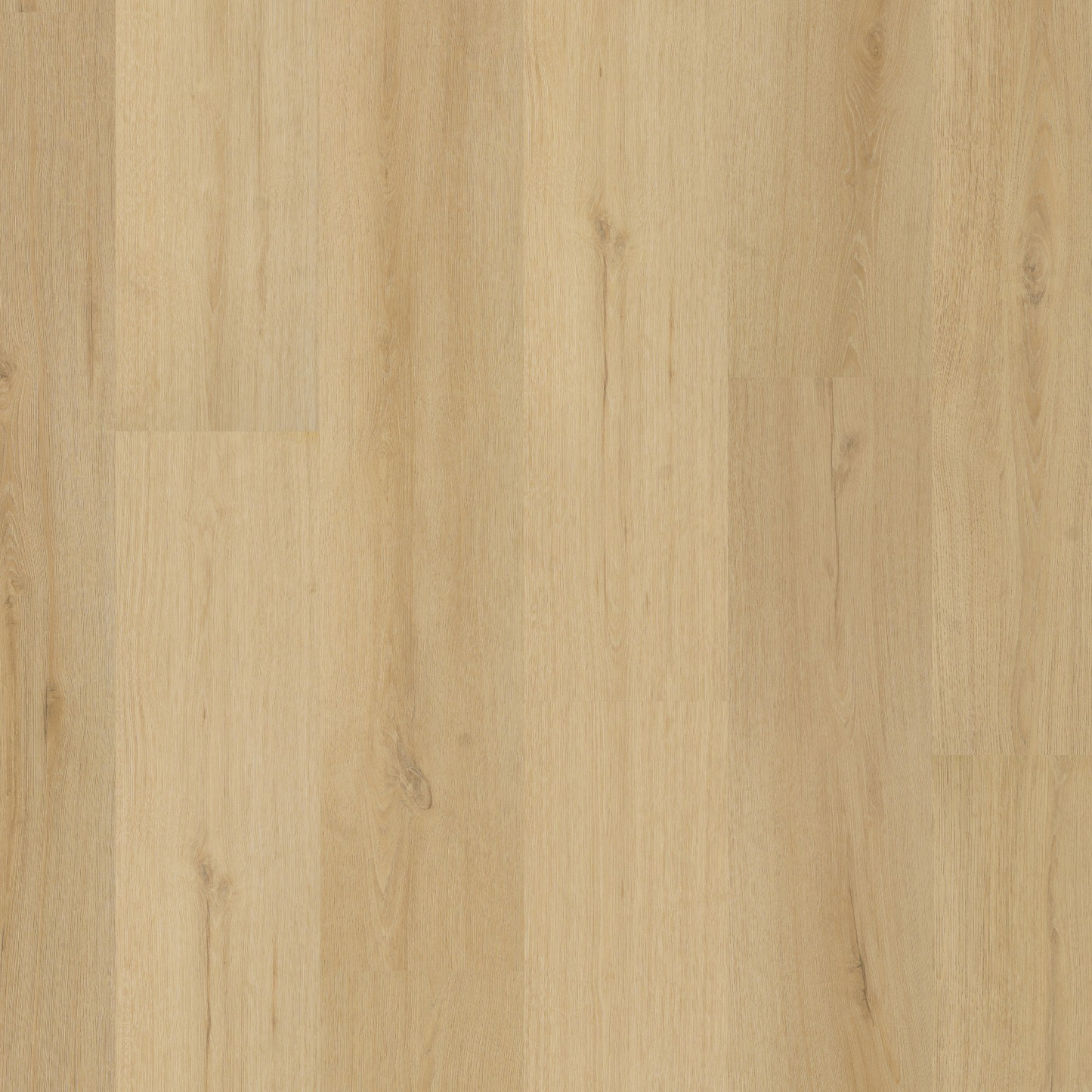 P530 dryback natural