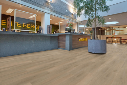 P450 dryback natural oak