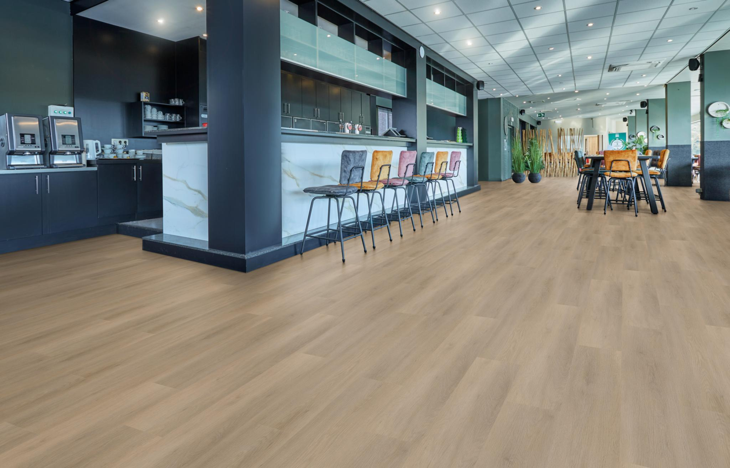 P450 dryback natural oak