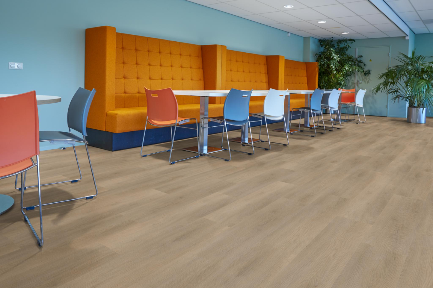 P450 dryback natural oak