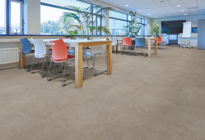 P521 XL dryback grey