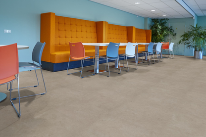 P522 XXL dryback light grey