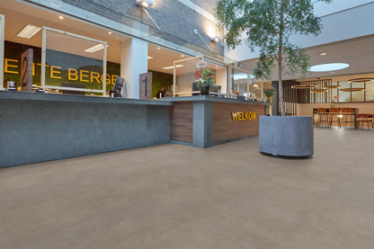 P522 XXL dryback warm grey