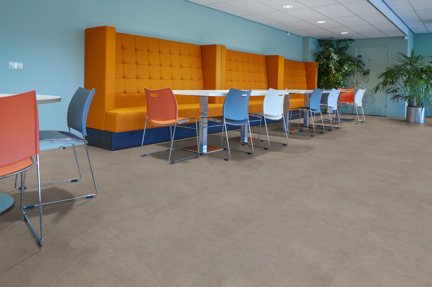 P522 XXL dryback warm grey