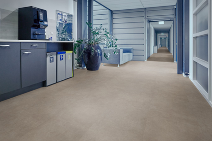 P522 XXL dryback warm grey