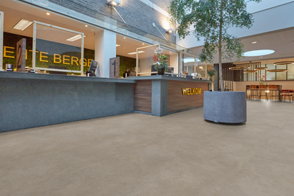 P522 XXL dryback grey