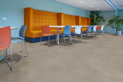 P522 XXL dryback grey