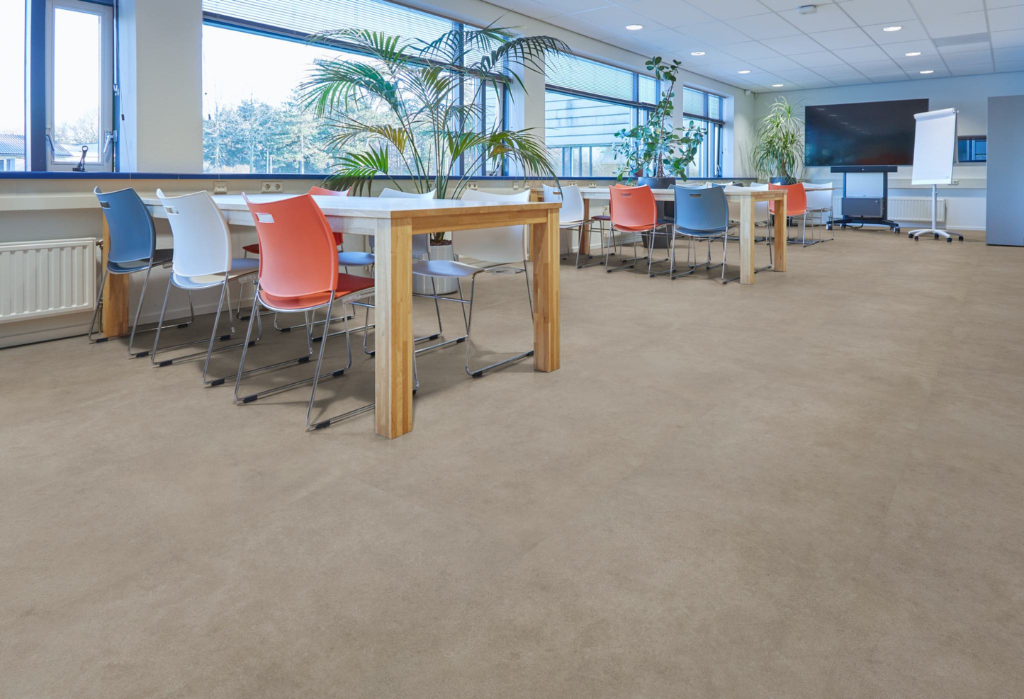 P522 XXL dryback grey