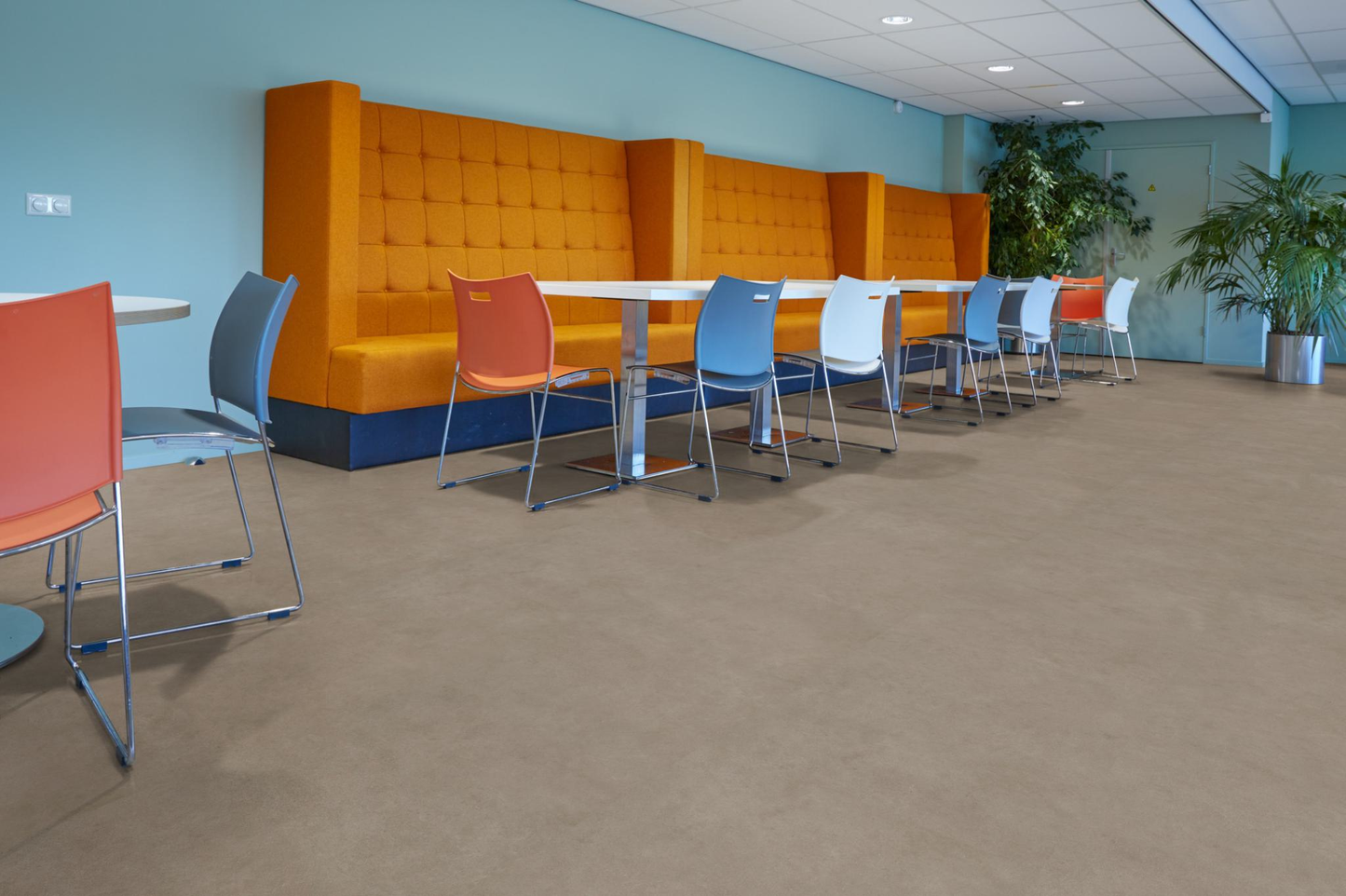 P522 XXL dryback taupe