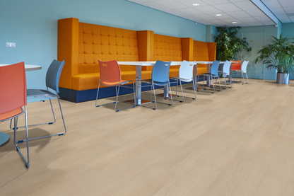 P510 dryback natural