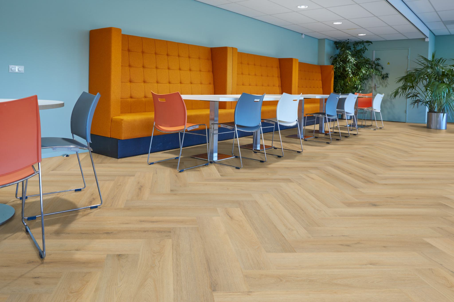 P730 visgraat dryback natural