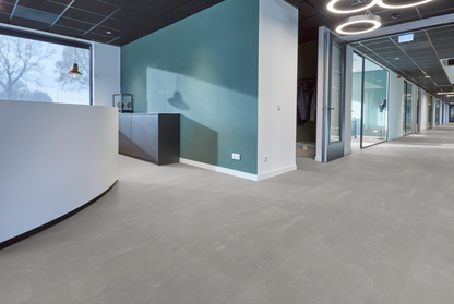 P300 dryback light grey