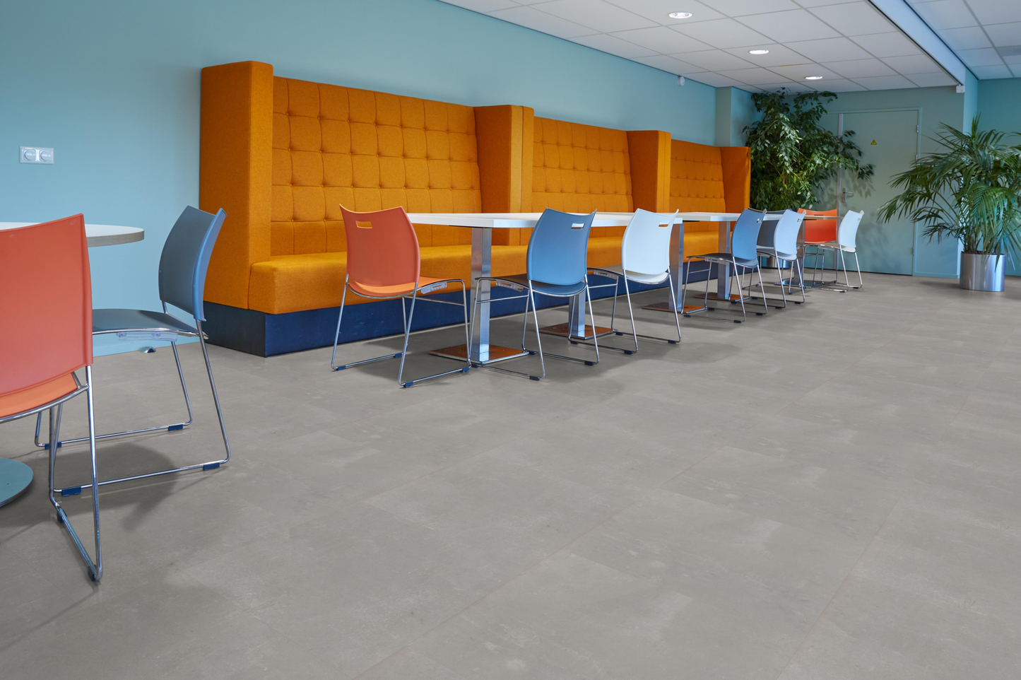 P300 dryback light grey