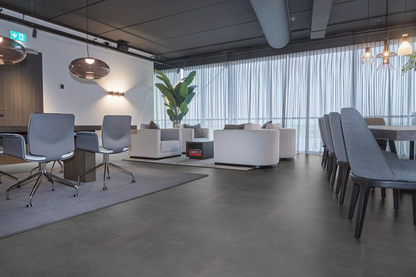 P310 dryback anthracite