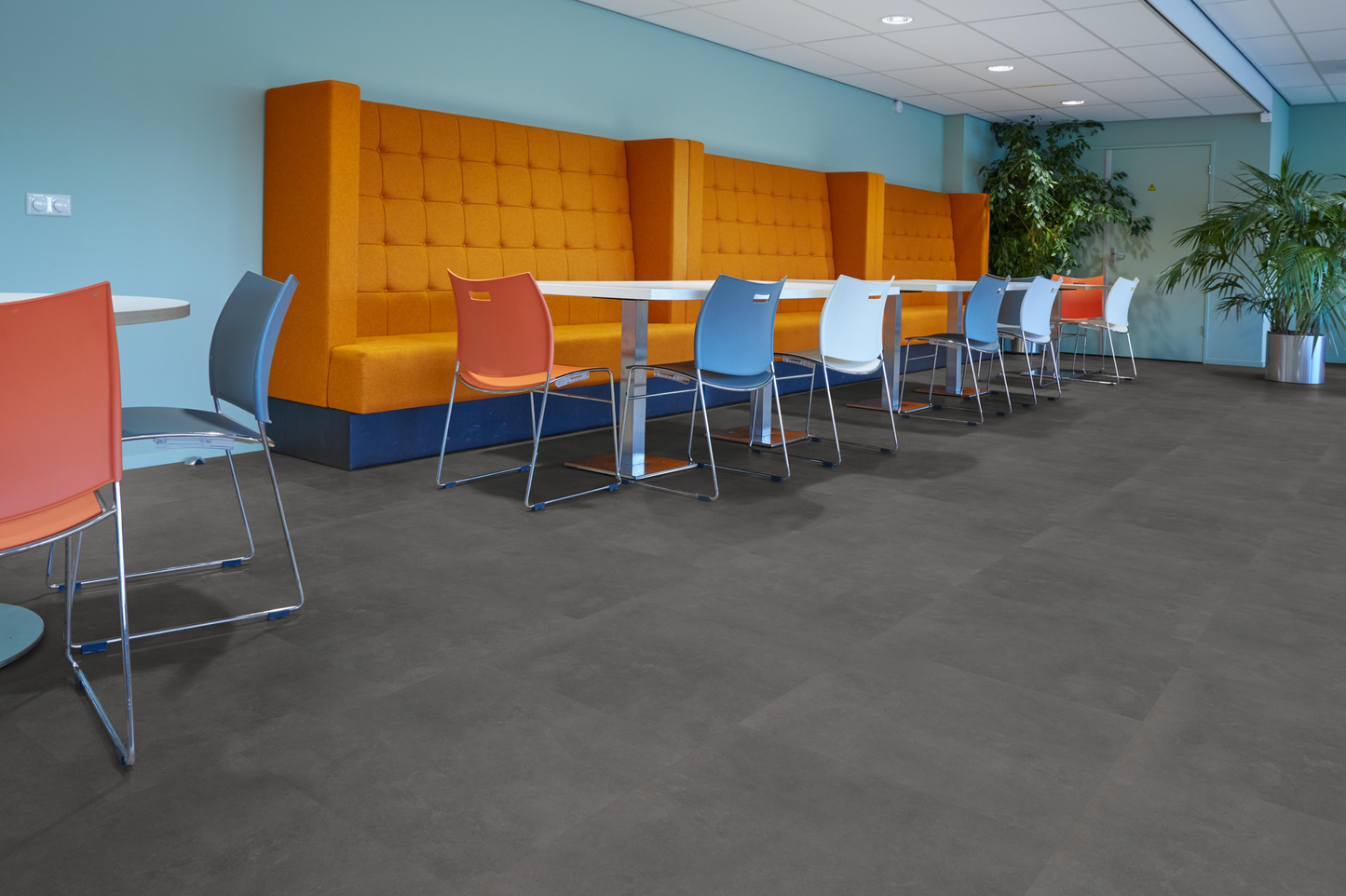 P310 dryback anthracite