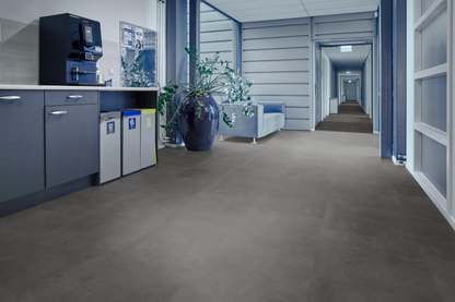 P310 dryback anthracite