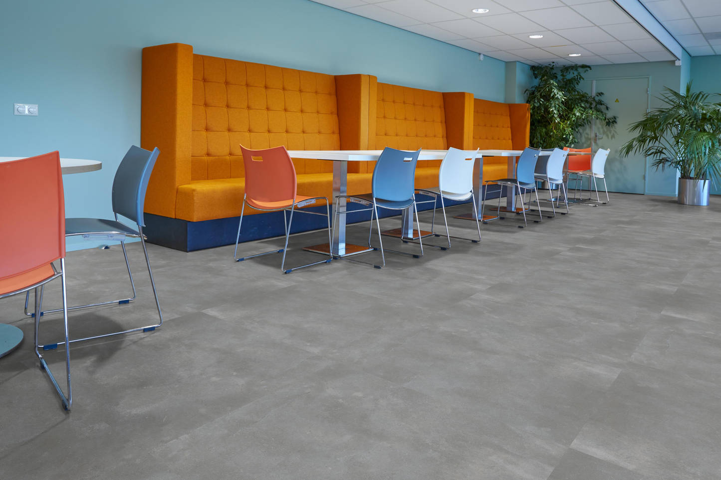 P321 XL dryback grey