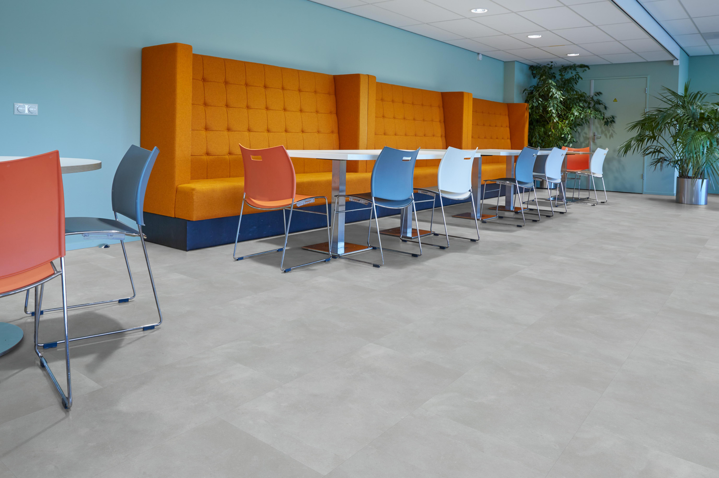 P320 dryback light grey