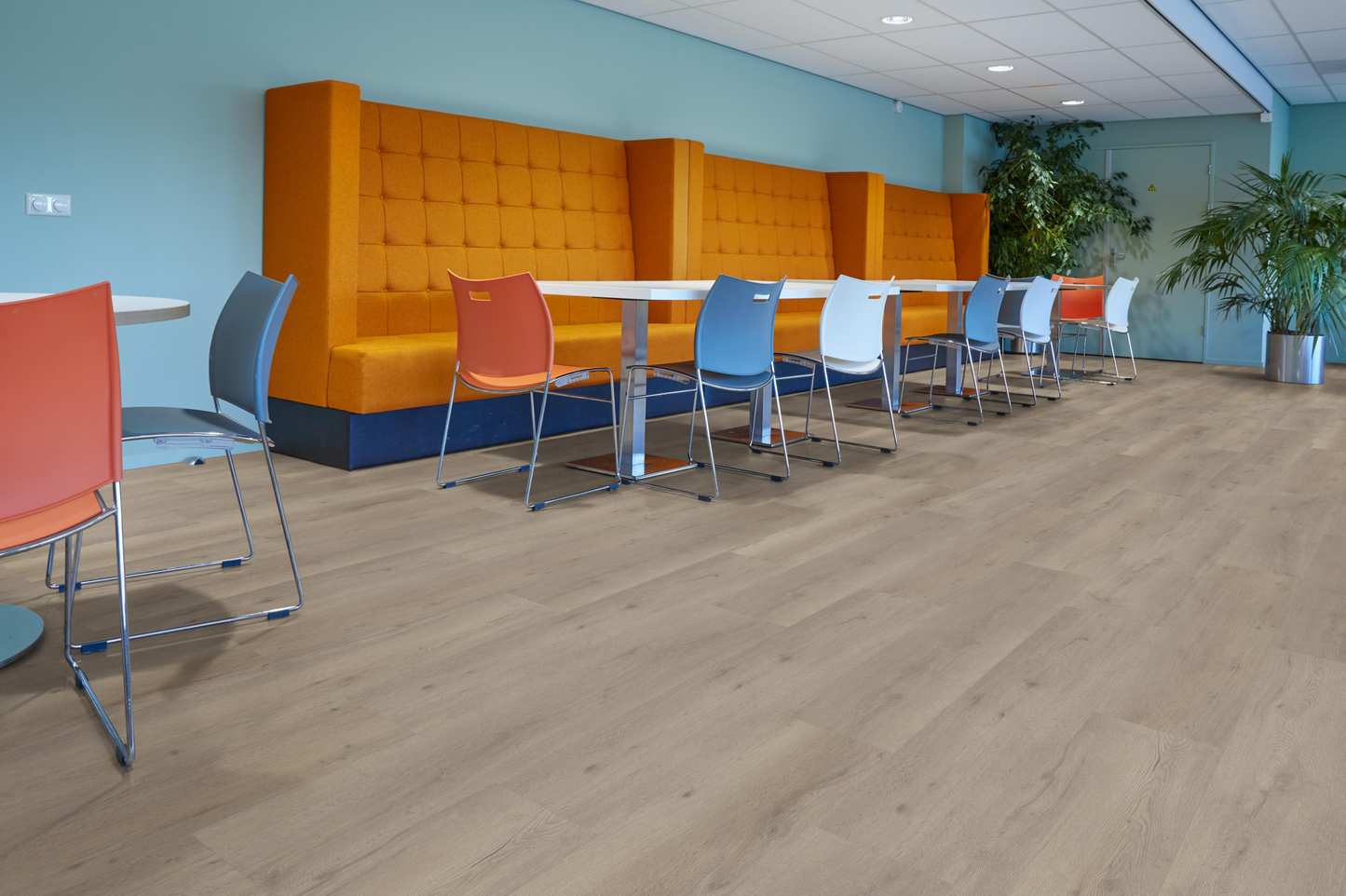 P410 dryback light oak