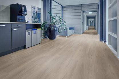 P410 dryback light oak