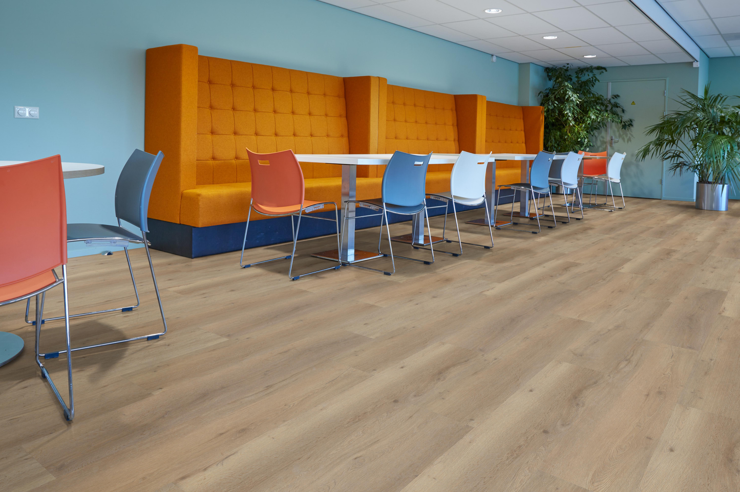 P410 dryback natural oak