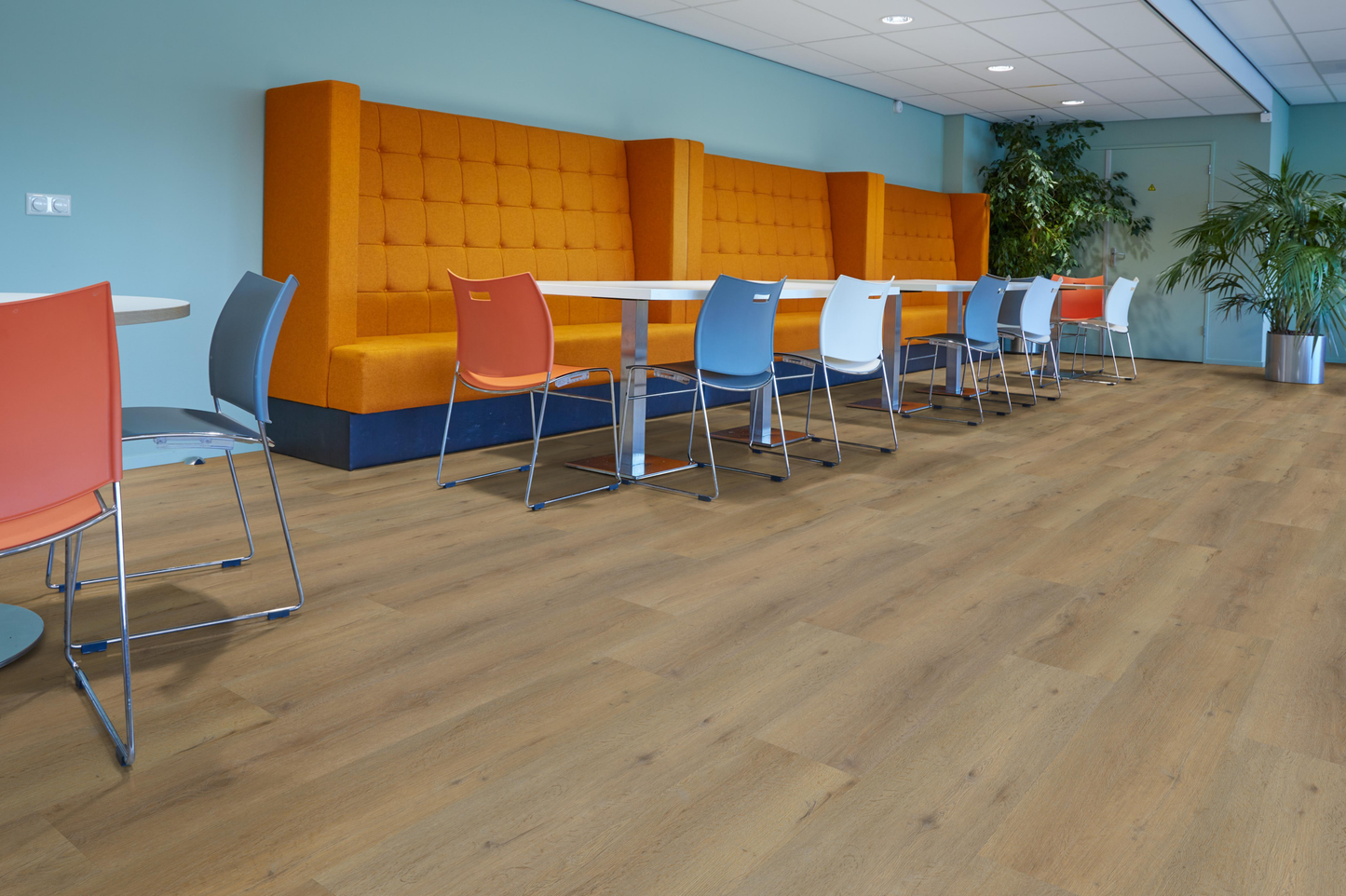 P410 dryback dark oak