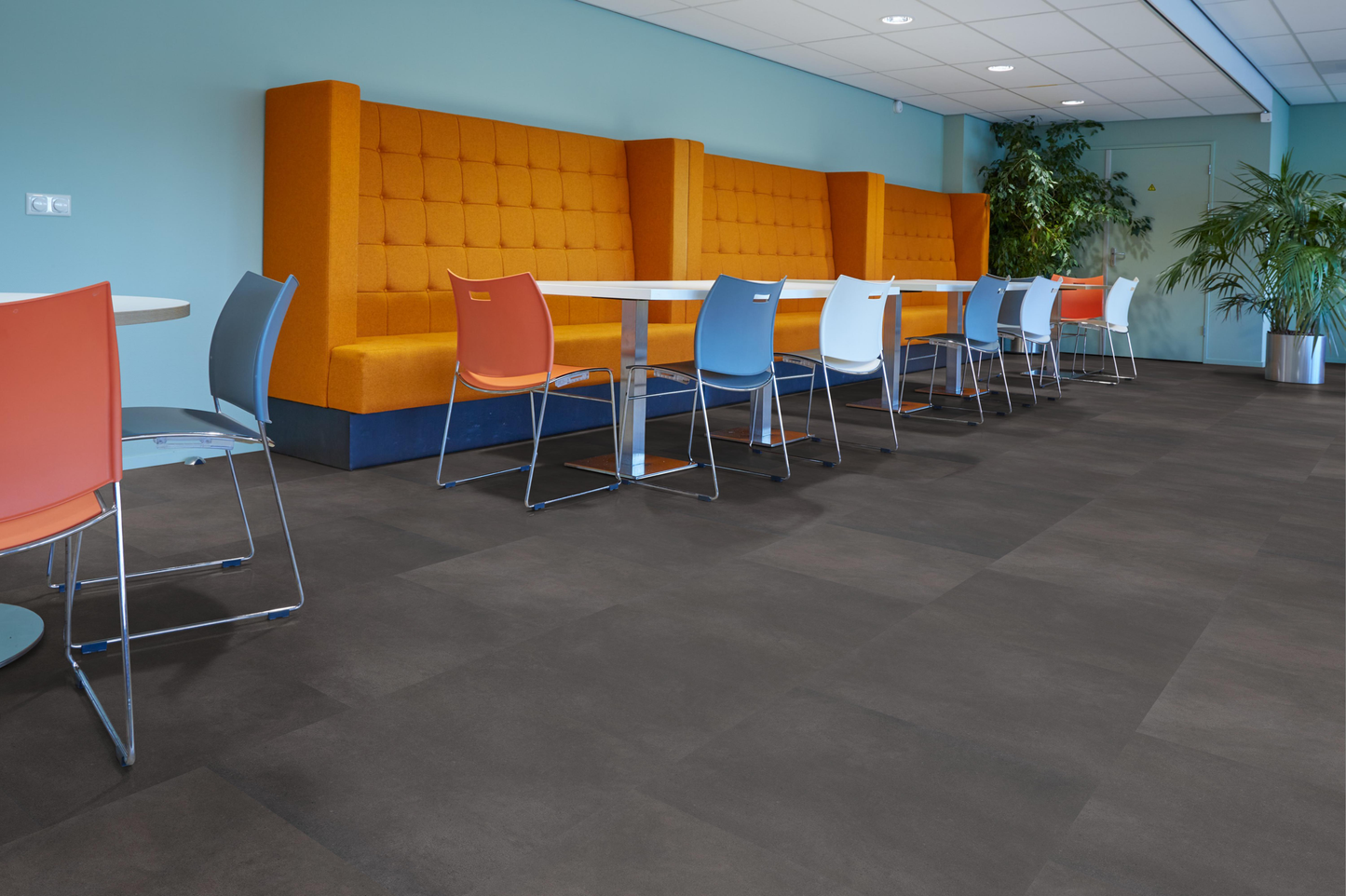 P330 dryback anthracite