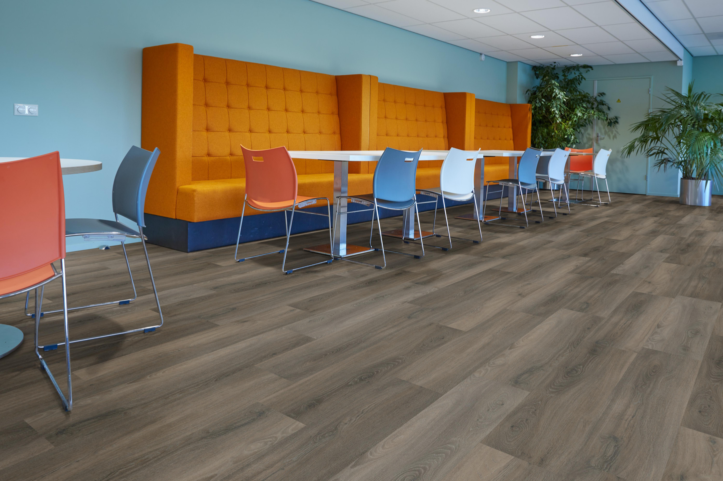 P405 click SRC dark grey