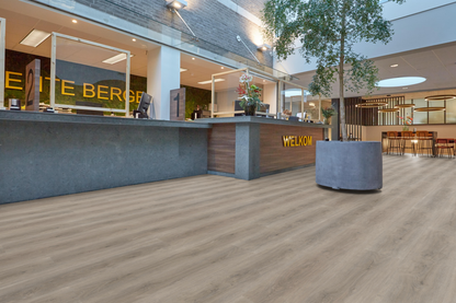 P435 click SRC light grey