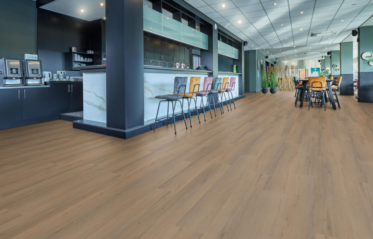 P460 dryback dark oak