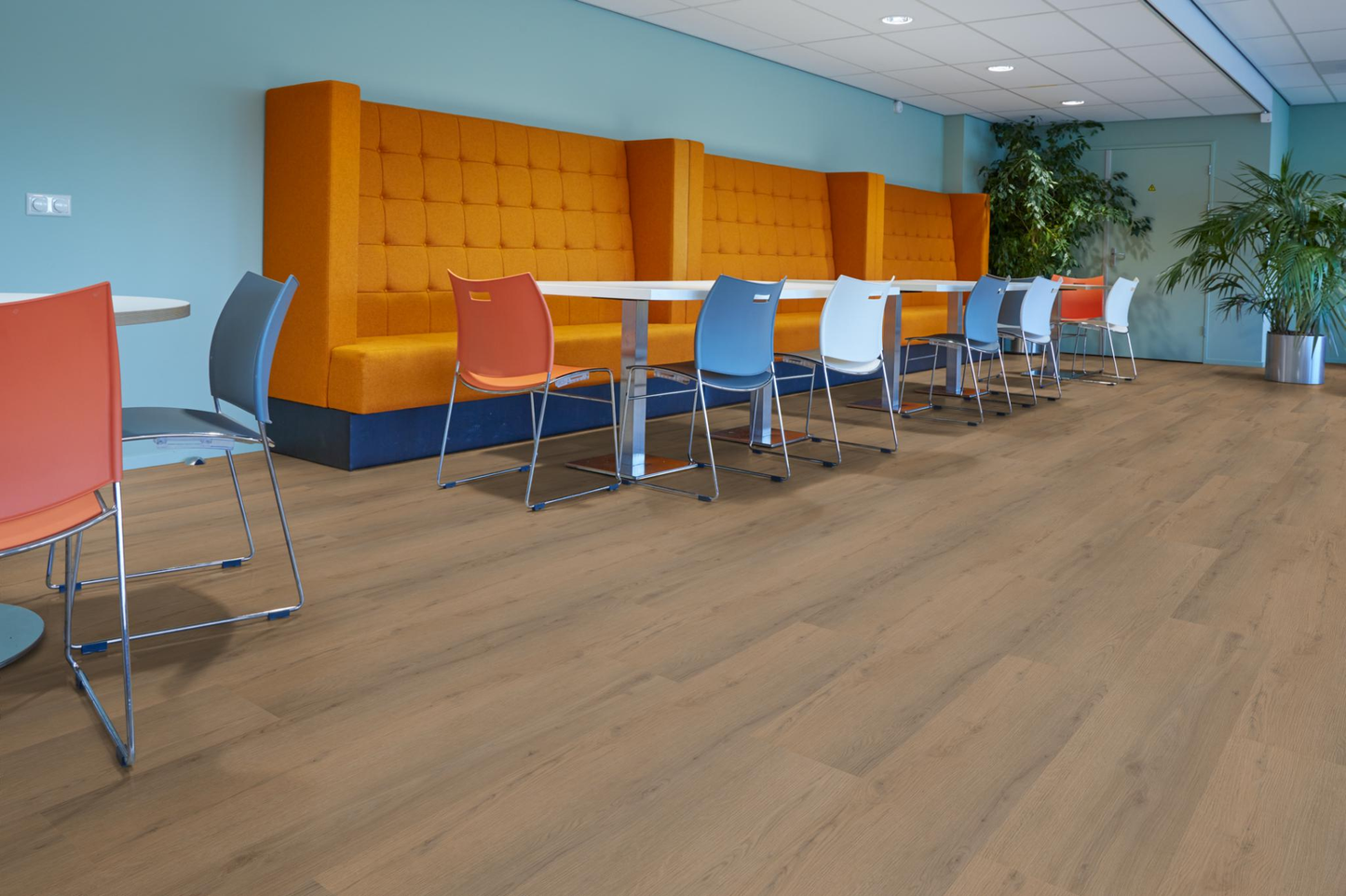 P460 dryback dark oak