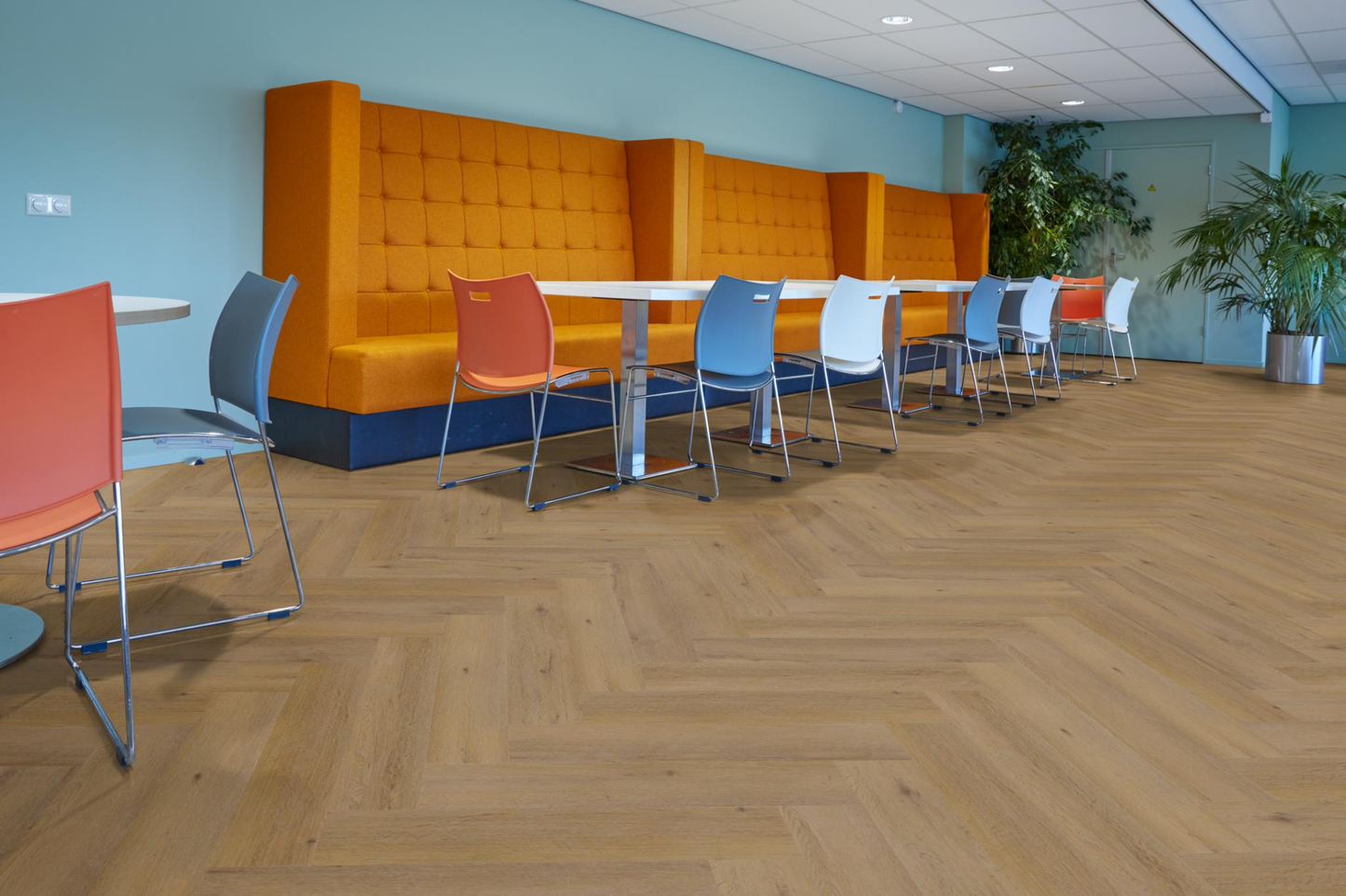 P610 visgraat dryback dark oak