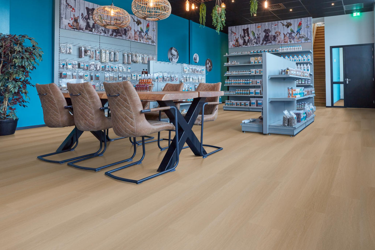 P420 dryback natural oak