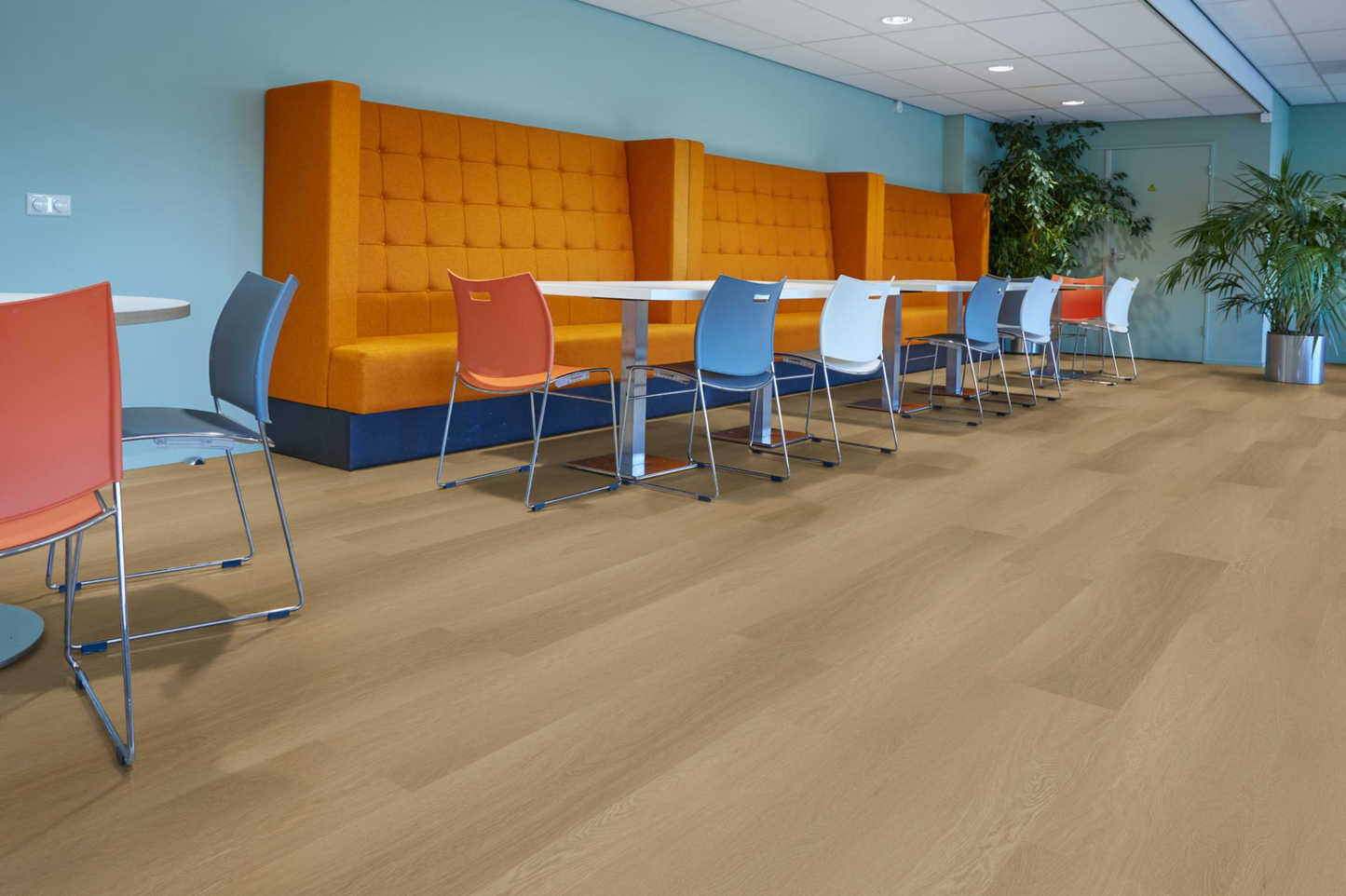 P420 dryback warm oak