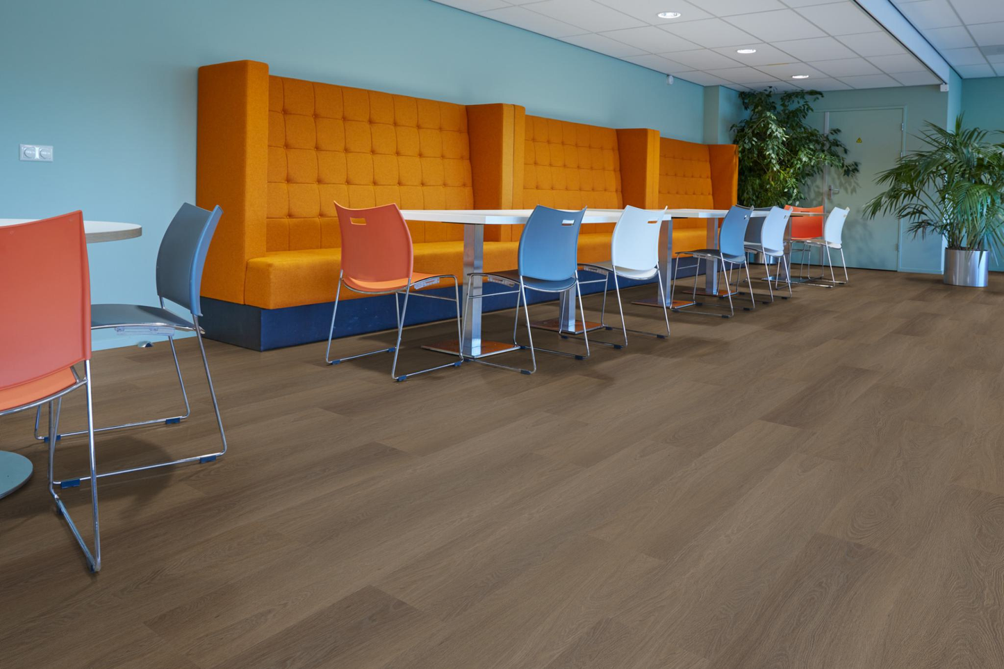 P425 click SRC brown