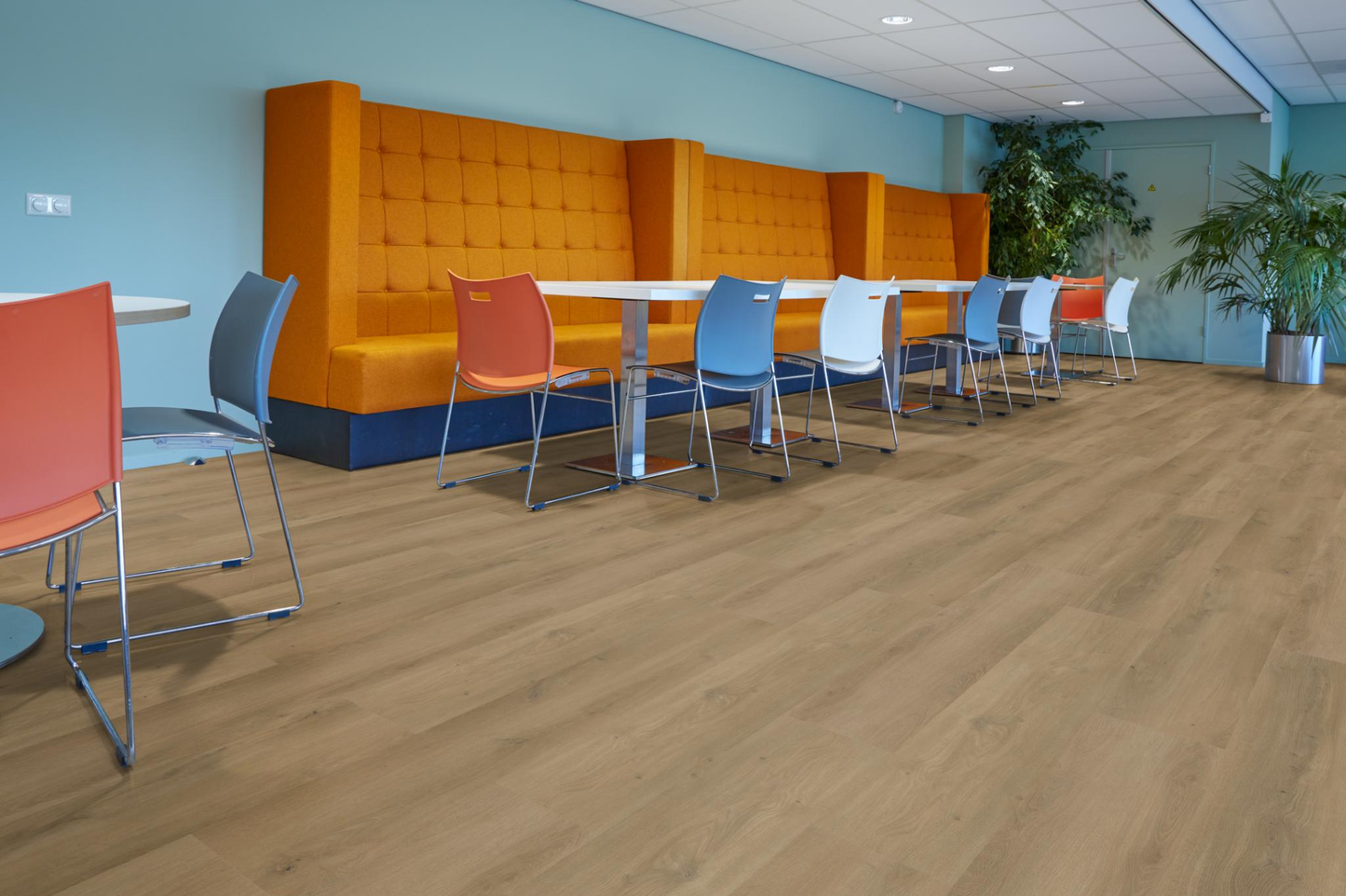 P470 dryback dark oak