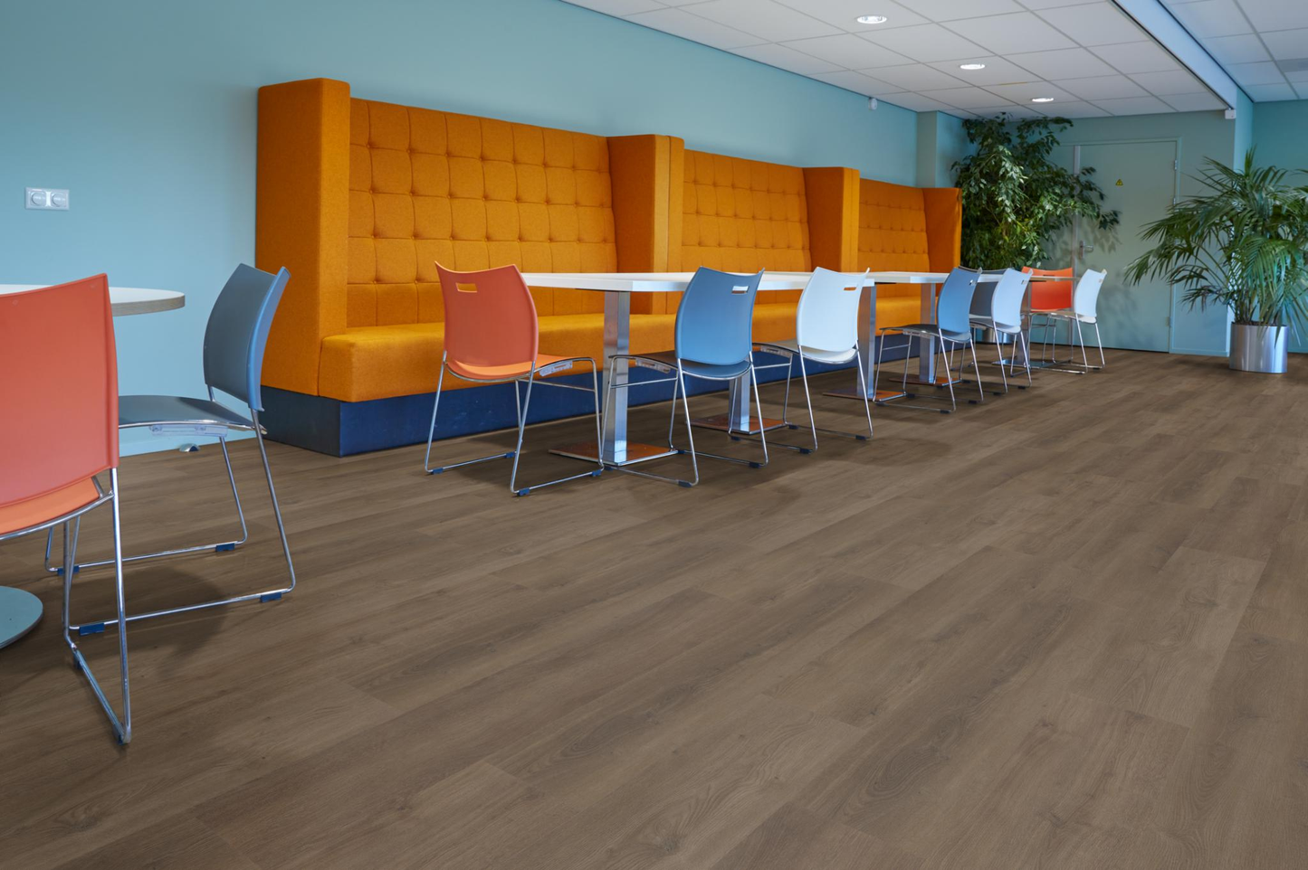 P475 click SRC warm brown