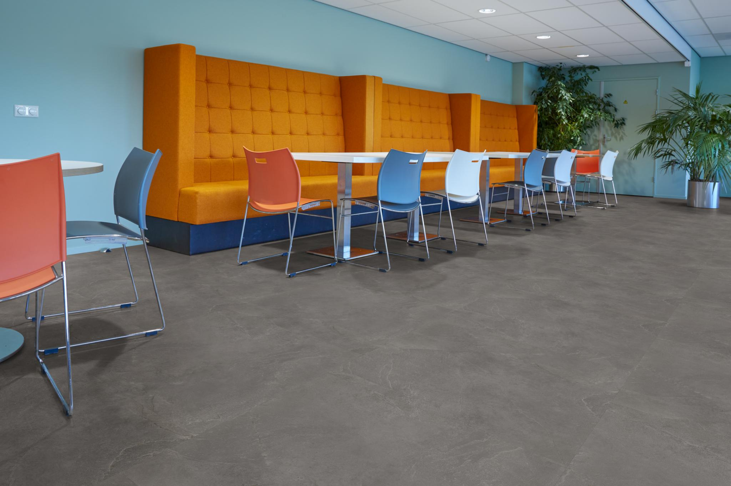 P361 XL dryback dark grey