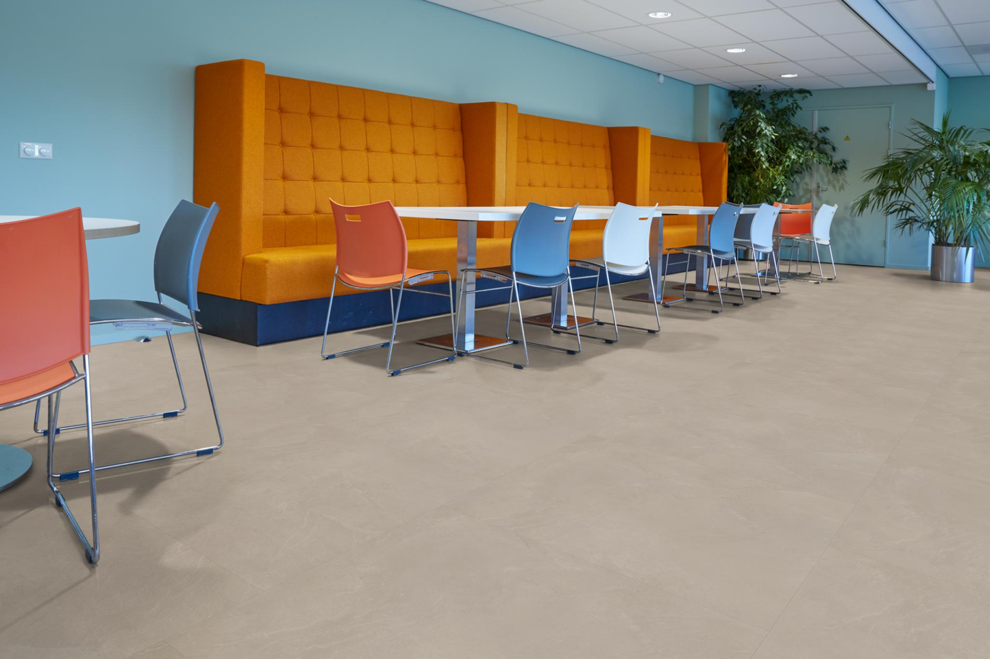 P361 XL dryback warm beige