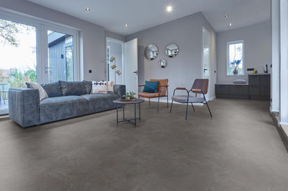 P365 click SRC dark grey