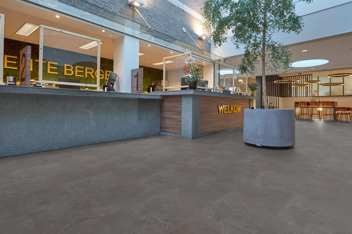 P365 click SRC dark grey