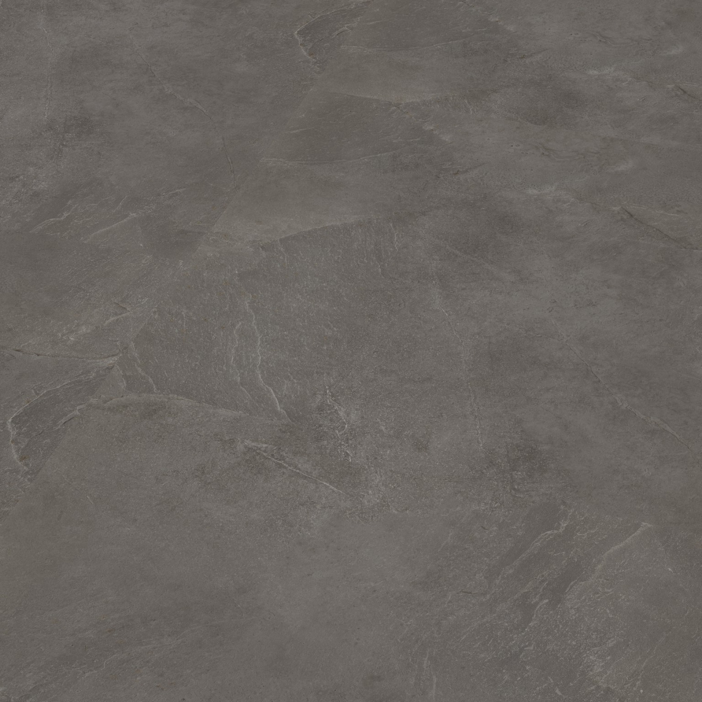 P365 click SRC dark grey