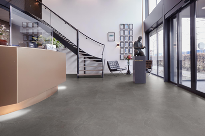 P365 click SRC dark grey