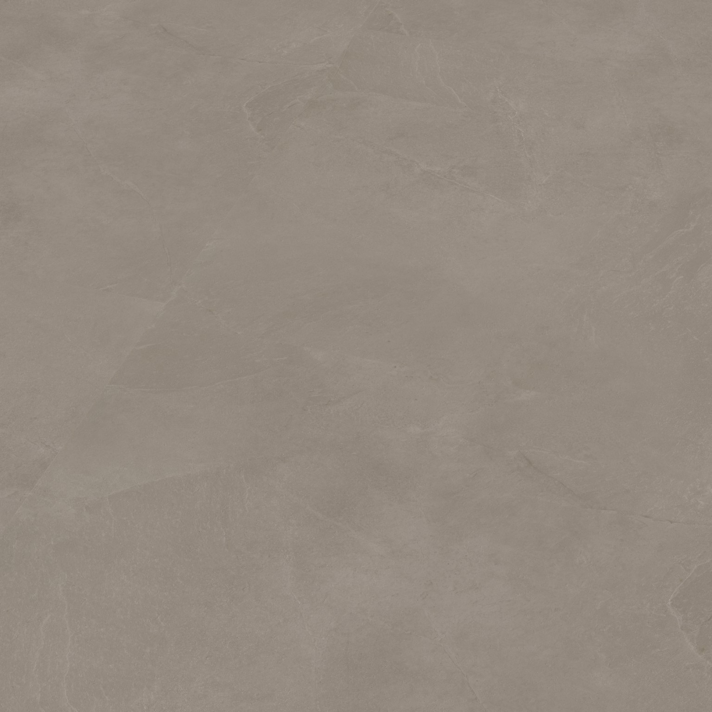 P365 click SRC warm grey