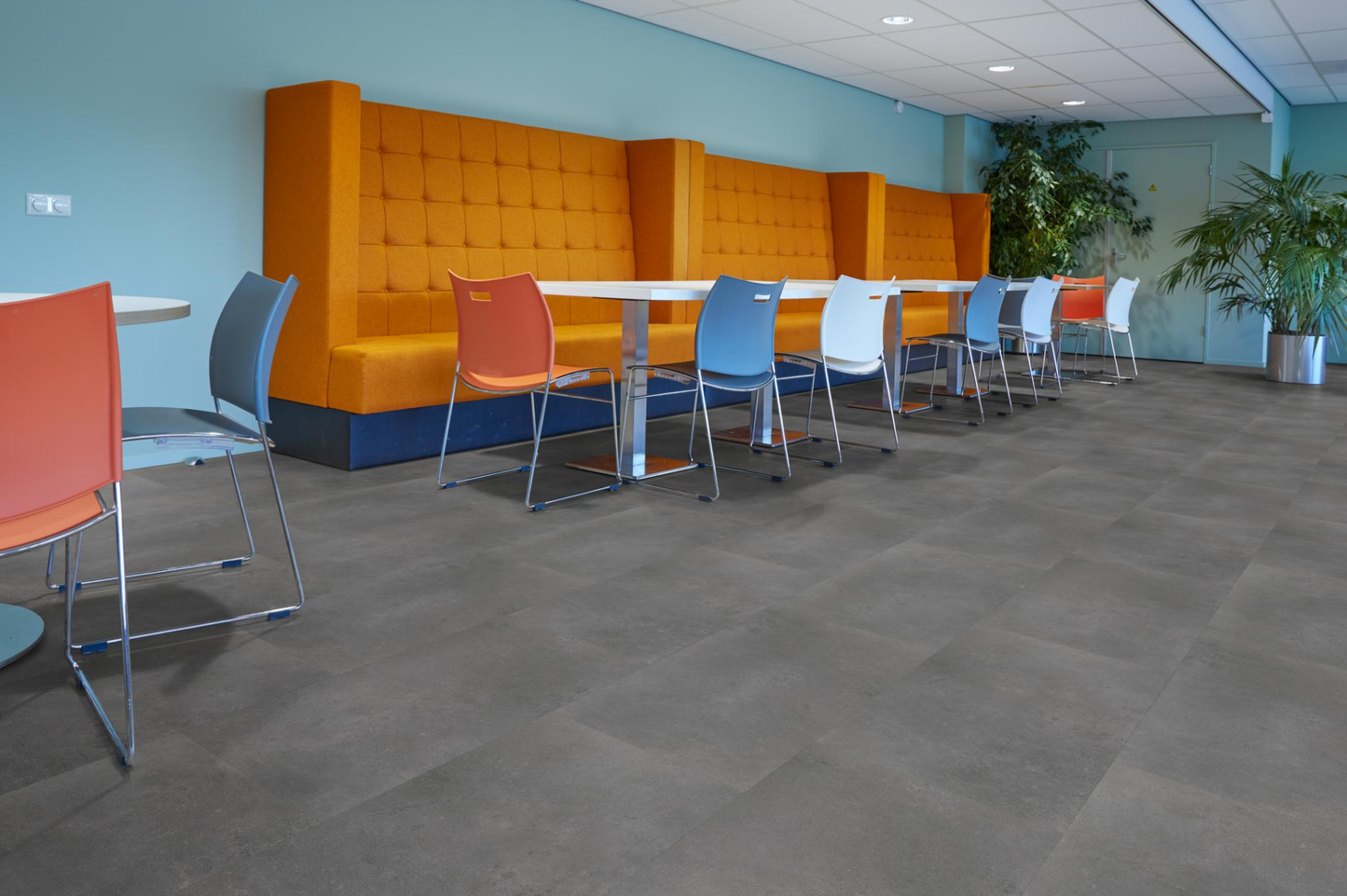 P340 dryback dark grey