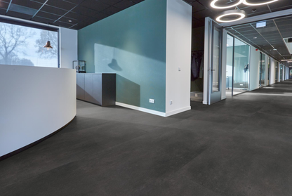 P341 XL dryback anthracite