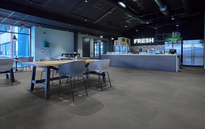 P341 XL dryback anthracite