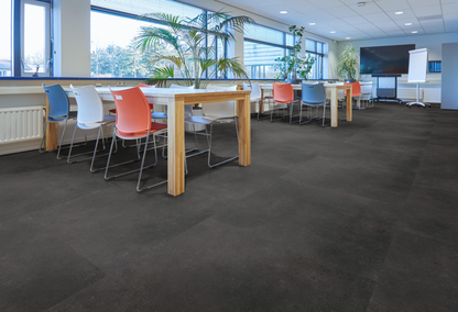 P341 XL dryback anthracite