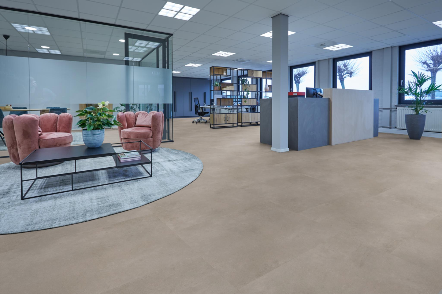 P341 XL dryback light grey