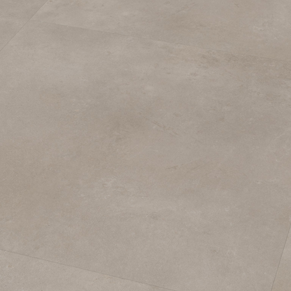 P341 XL dryback light grey